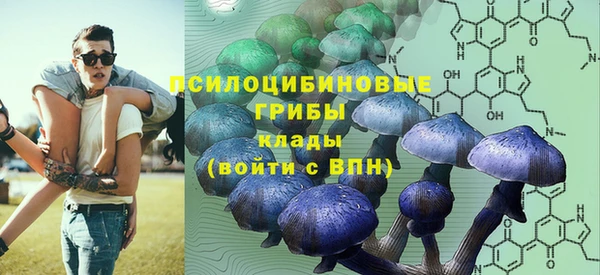 кокаин перу Богданович