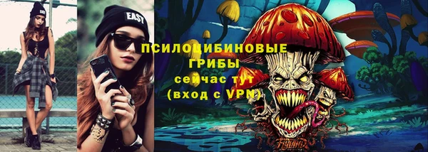 2c-b Богородицк