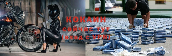 кокаин перу Богданович