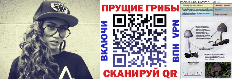 Галлюциногенные грибы мицелий  Острогожск 