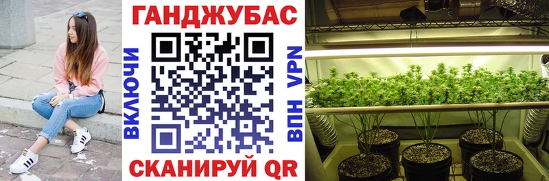 как найти закладки Острогожск Каннабис SATIVA & INDICA